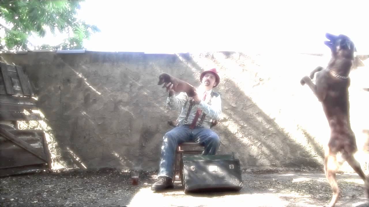 Bay Area Dog Trainer: The Accordionist