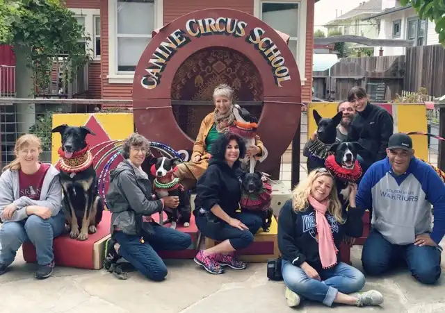 circus-3 Medium