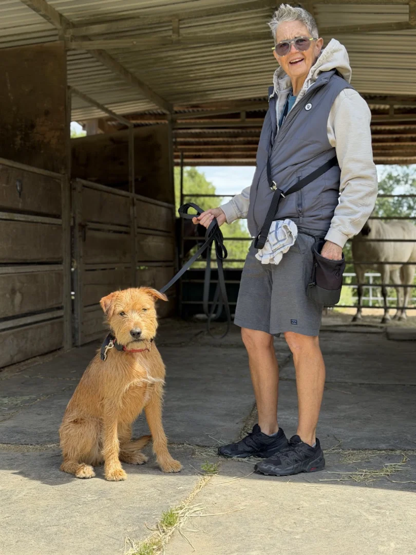 how-to-safely-train-a-dog-who-guards-food-and-toys-image Handler calmly practicing a structured trade routine with a relaxed dog
